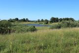 Image of landscape