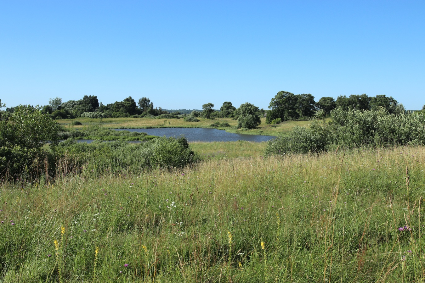 Местечко и окрестности, image of landscape/habitat.