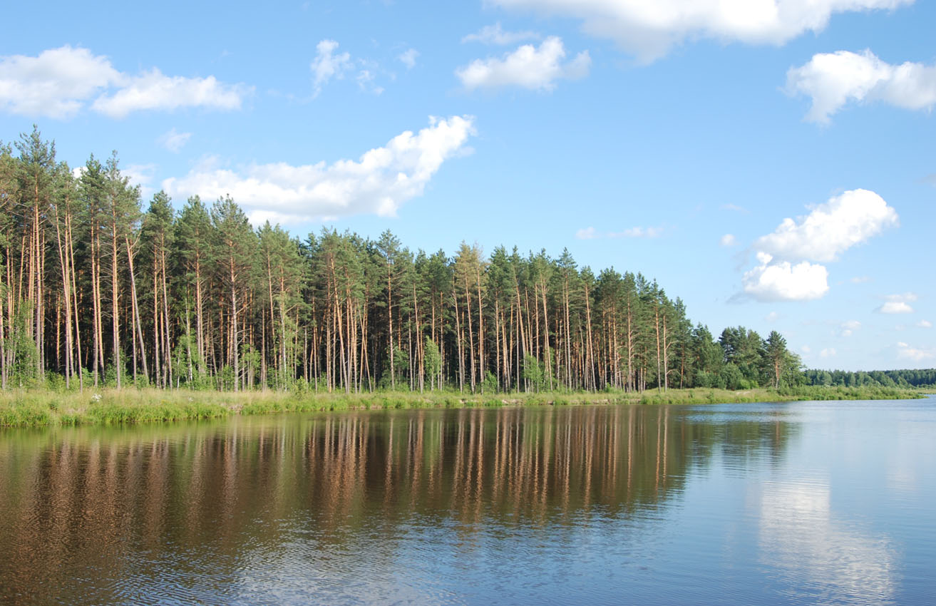 Орловское Полесье, изображение ландшафта.