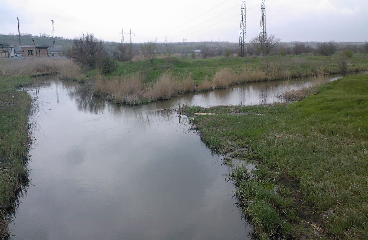 Красюковская пойма р. Грушевка., image of landscape/habitat.