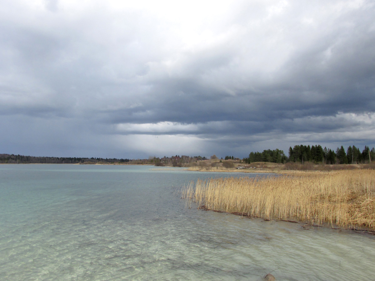 Верховья Оредежа, image of landscape/habitat.