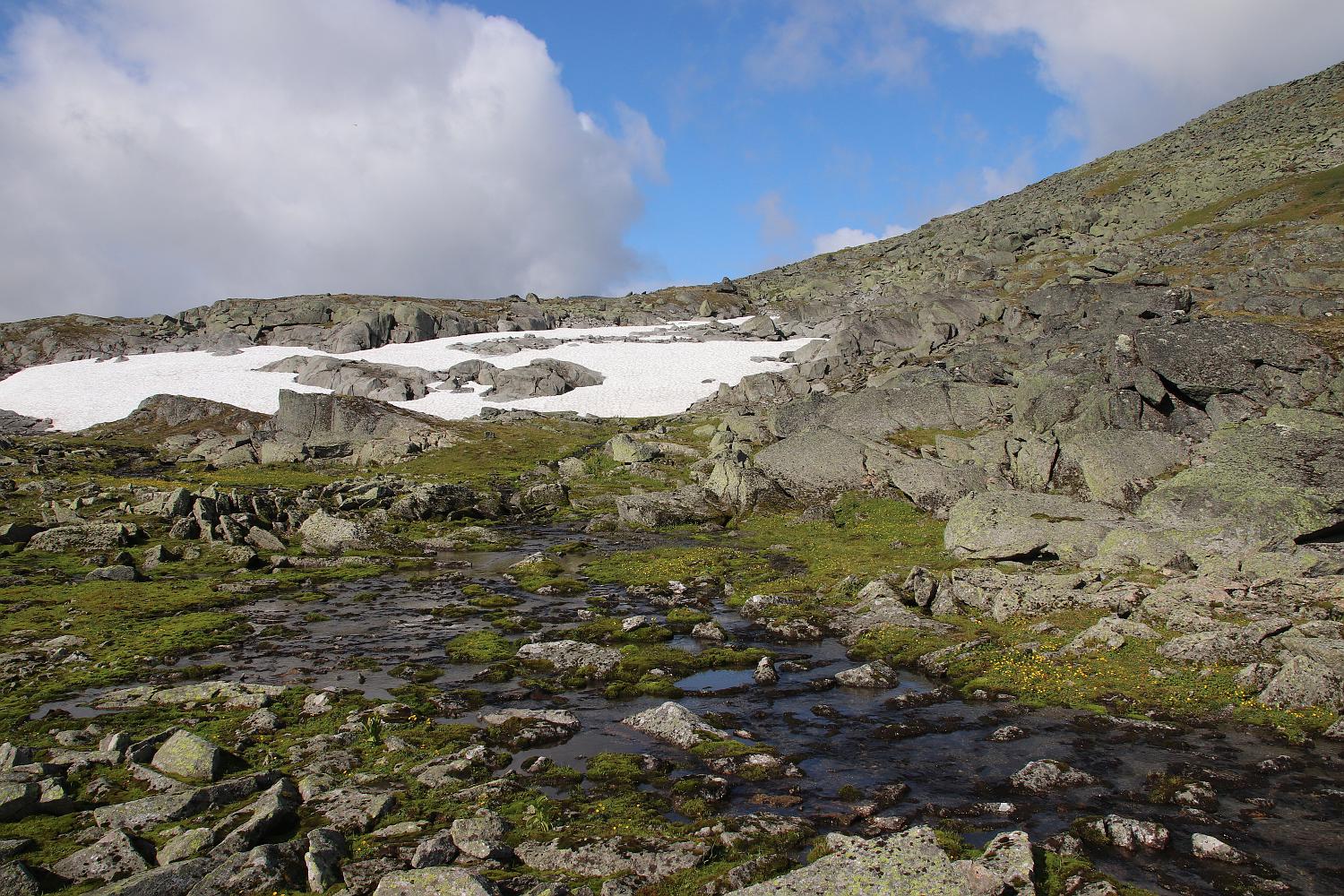 Перевал Зигзаг и вокруг, image of landscape/habitat.