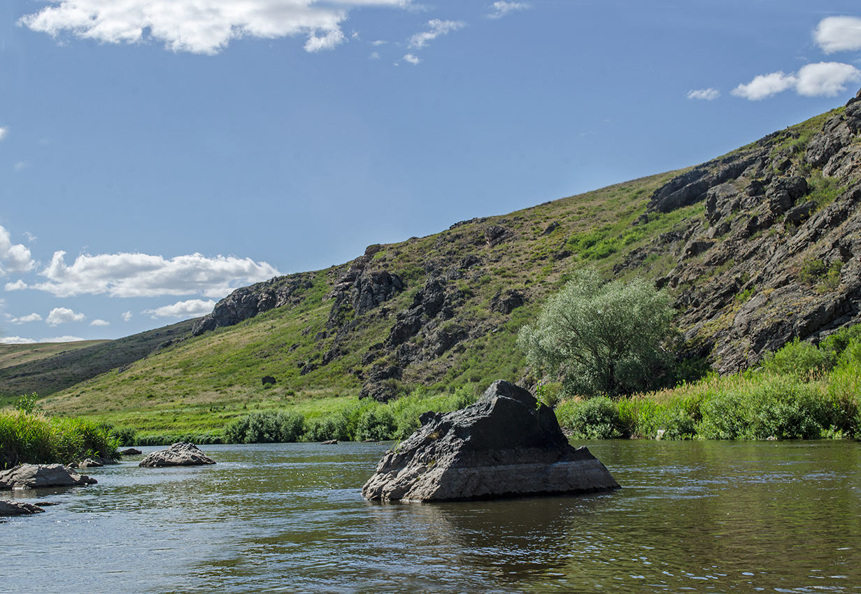 Богдановское, image of landscape/habitat.