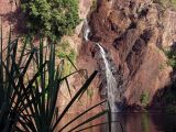 Litchfield Park, image of landscape/habitat.