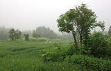 Image of landscape
