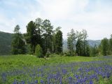Image of landscape