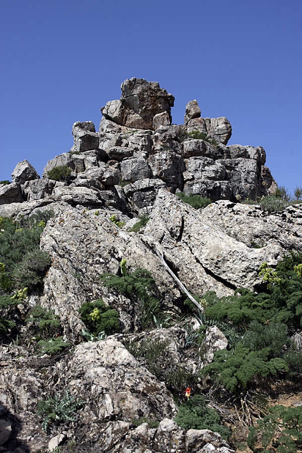 Гора Нурбай, image of landscape/habitat.