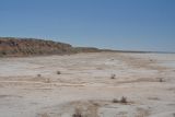 Эльтон, image of landscape/habitat.