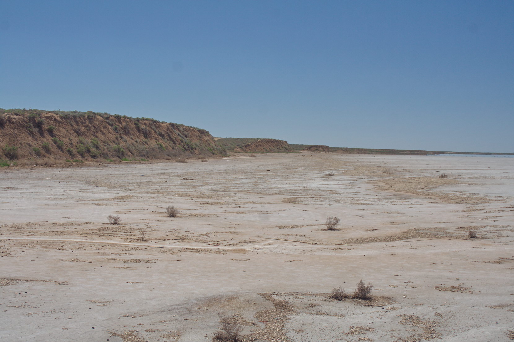 Эльтон, image of landscape/habitat.