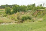 Долина реки Бирля и окрестности, image of landscape/habitat.