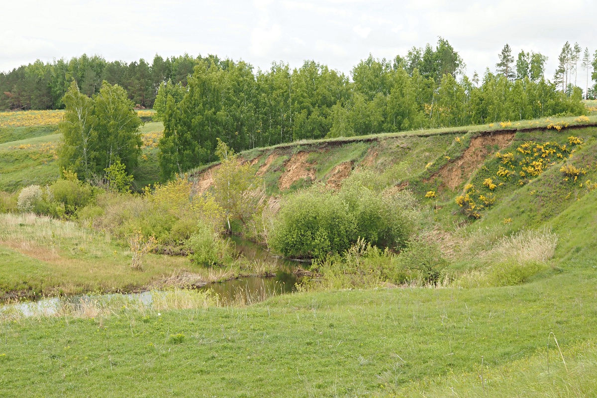 Долина реки Бирля и окрестности, image of landscape/habitat.