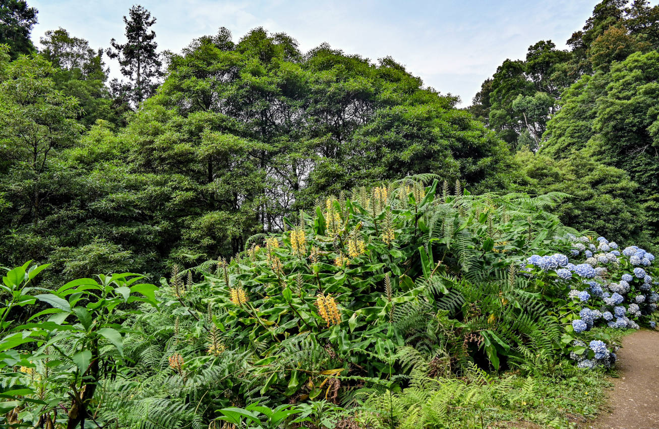 Ашада, изображение ландшафта.