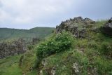 Image of landscape