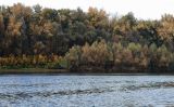 Красноармейский район Волгограда, image of landscape/habitat.
