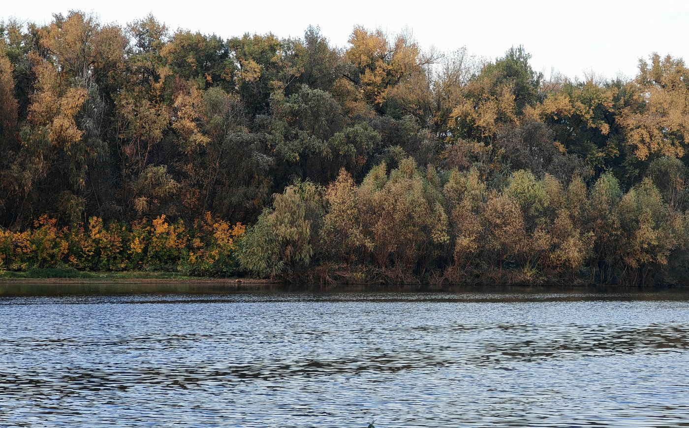 Красноармейский район Волгограда, image of landscape/habitat.