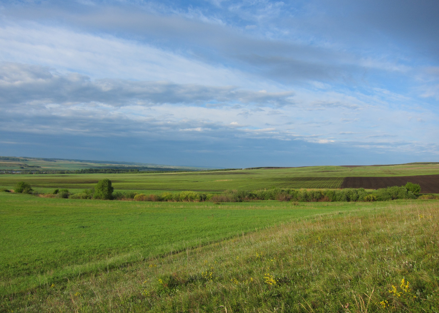 Урдалы-Тау, image of landscape/habitat.