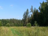 Image of landscape