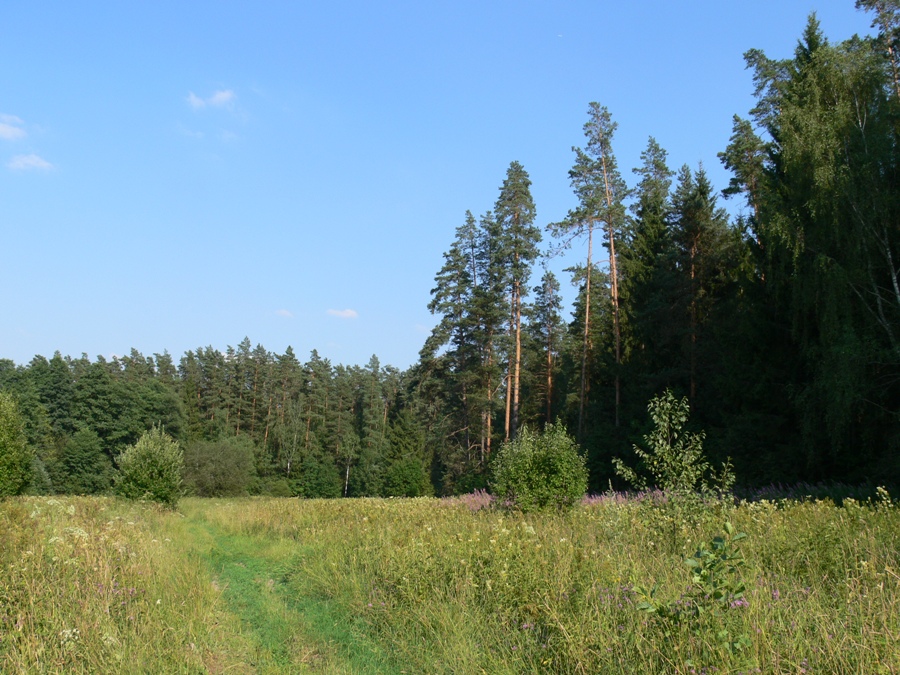 Малинки, image of landscape/habitat.