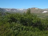 Image of landscape