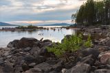 Толванд, image of landscape/habitat.