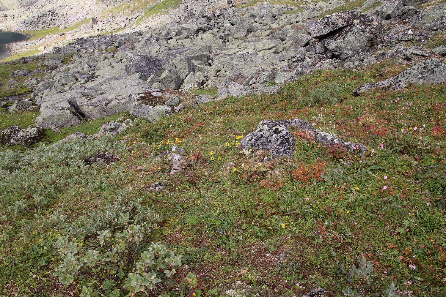 Перевал Зигзаг и вокруг, image of landscape/habitat.