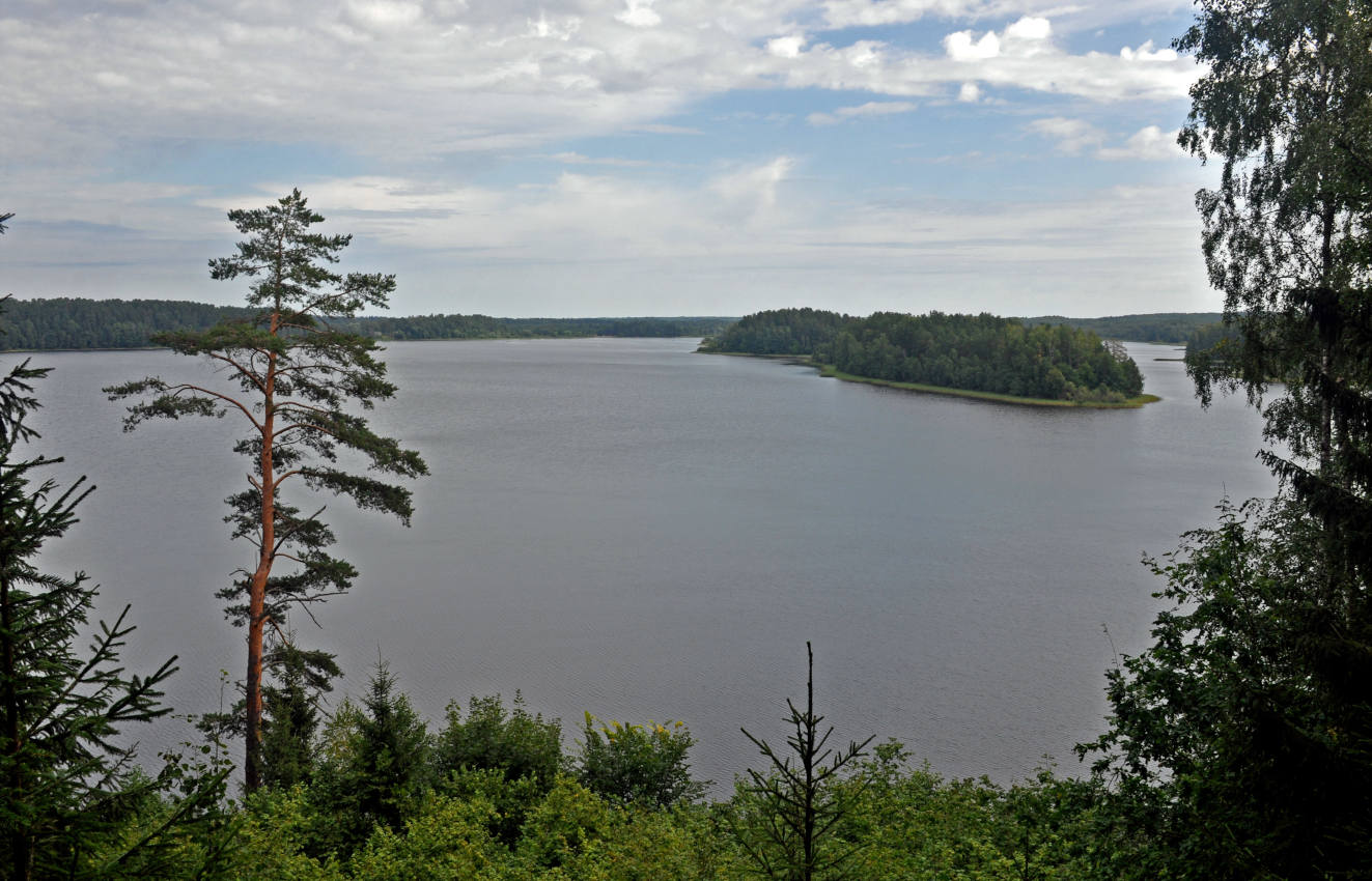 Озеро Сапшо, image of landscape/habitat.