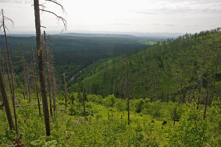 Пиленга, image of landscape/habitat.