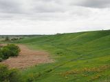 Долина реки Бирля и окрестности, image of landscape/habitat.