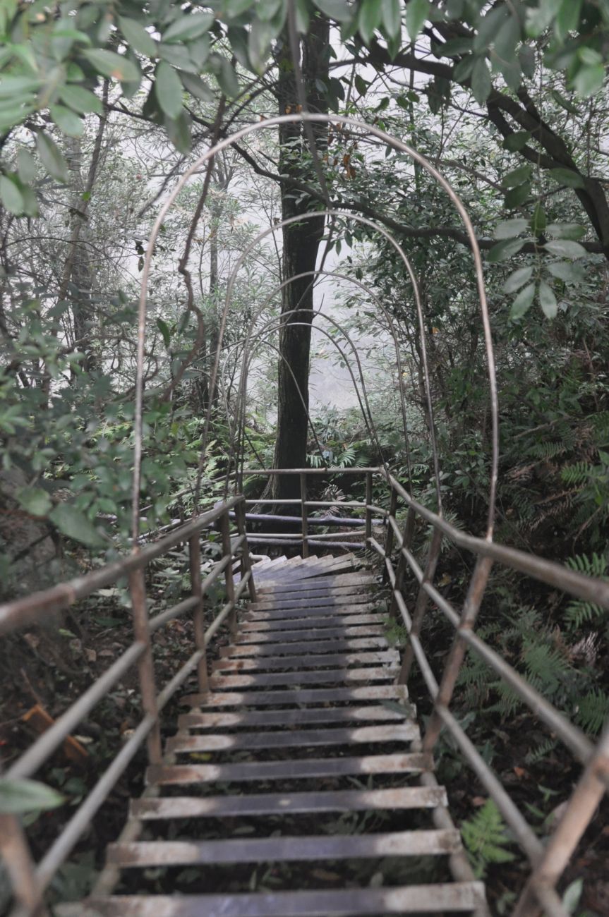 Национальный парк "Чжанцзяцзе", изображение ландшафта.