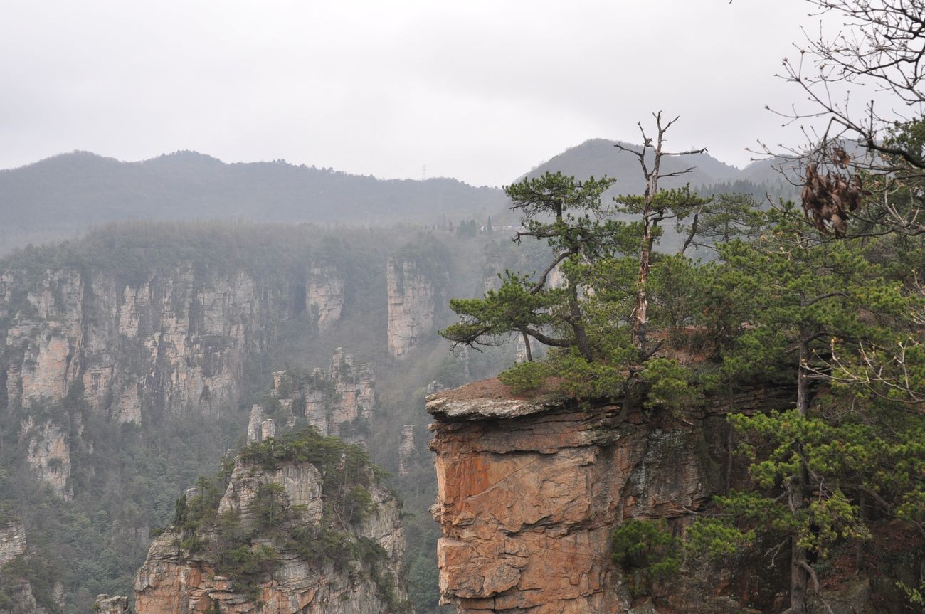 Национальный парк "Чжанцзяцзе", image of landscape/habitat.
