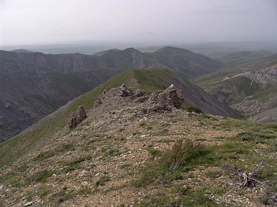 Ущелье Кенозен, image of landscape/habitat.
