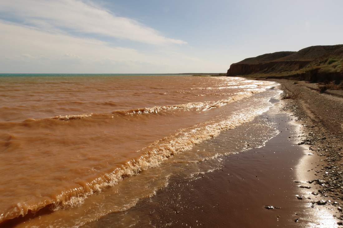 Северо-восточный берег Балхаша, image of landscape/habitat.