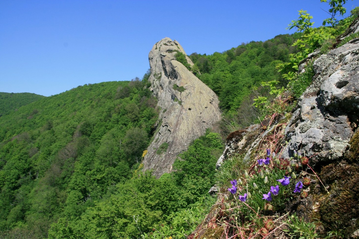 Скальный останец Зуб, image of landscape/habitat.