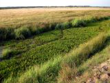 Image of landscape
