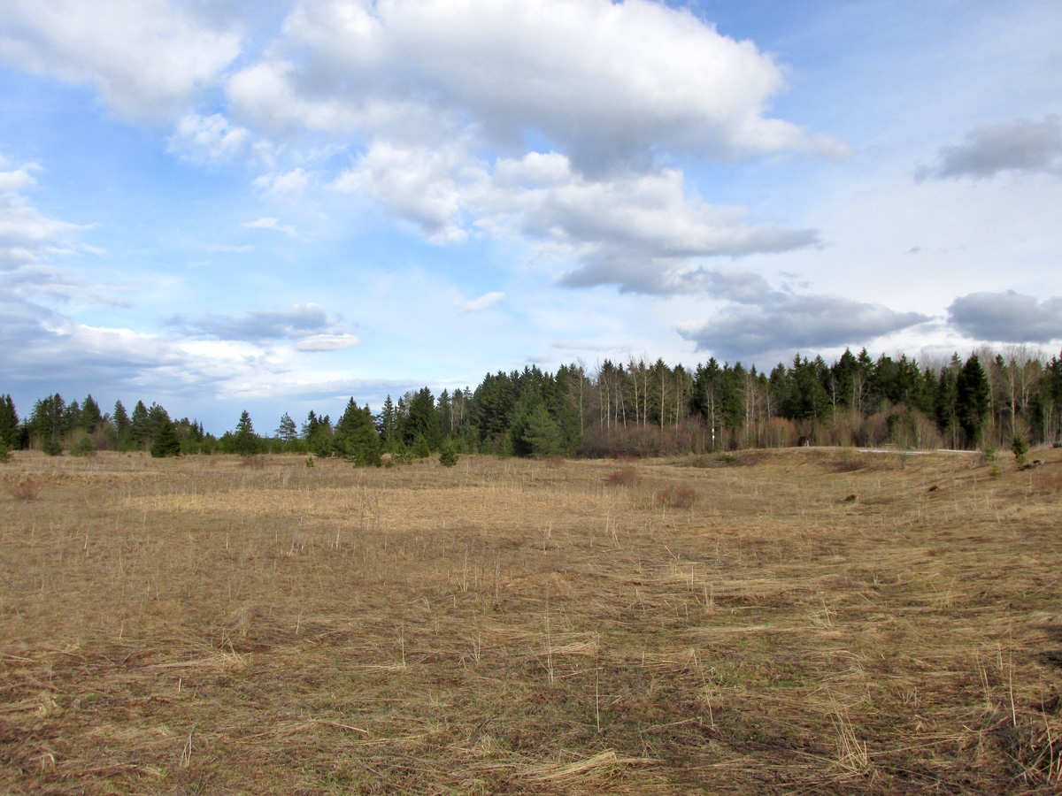 Верховья Оредежа, image of landscape/habitat.
