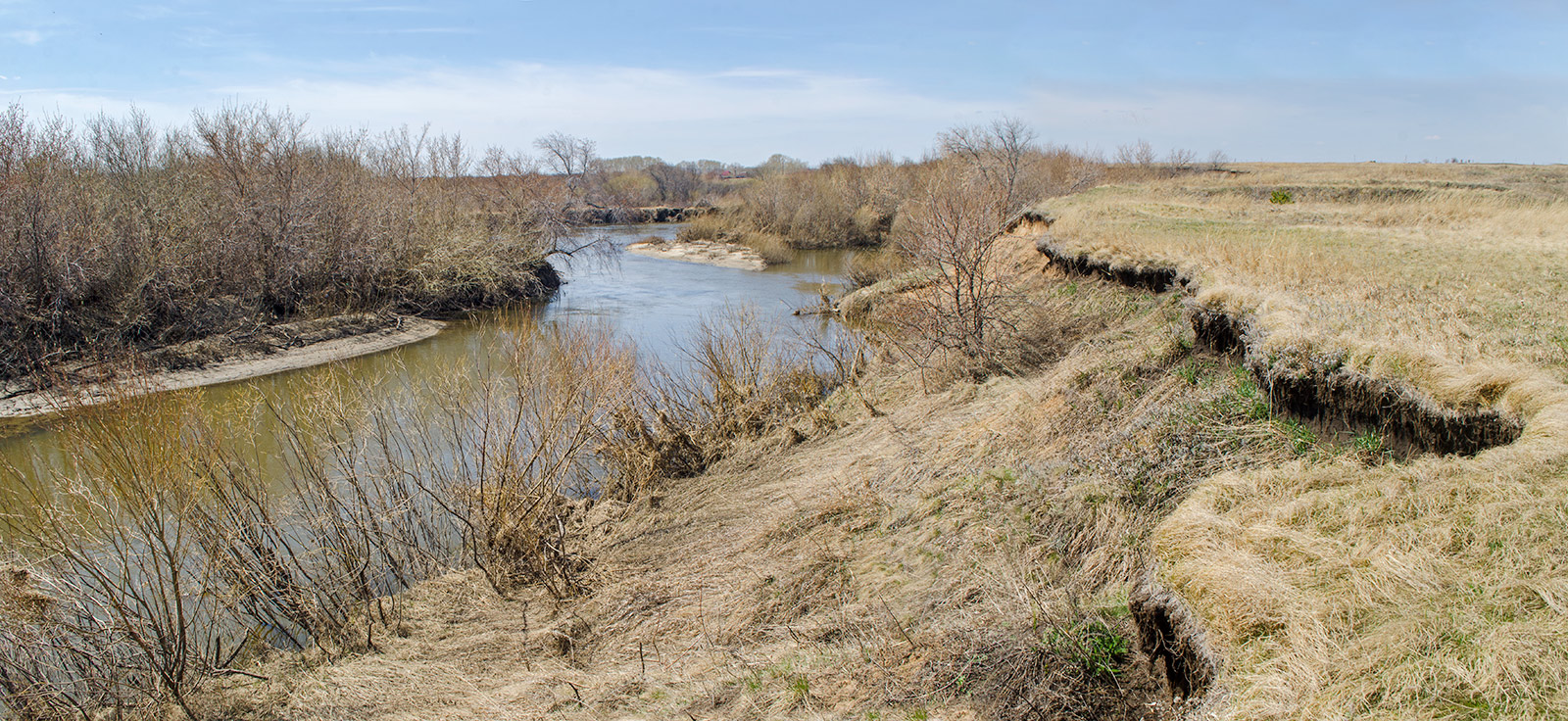 Окрестности Стрелецка, image of landscape/habitat.