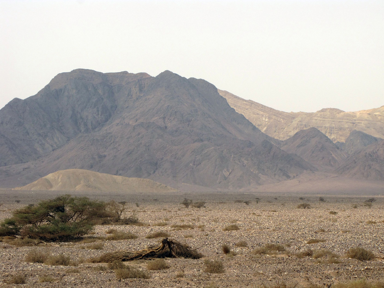 Эйлатские горы, image of landscape/habitat.