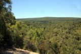 Image of landscape