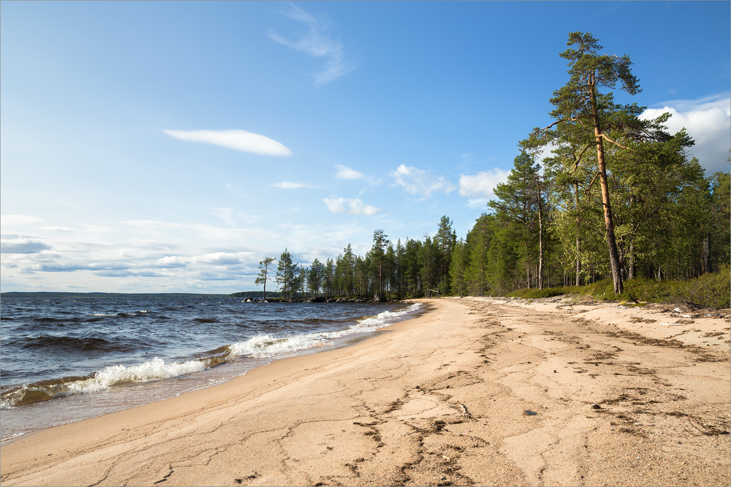 Топозеро, image of landscape/habitat.