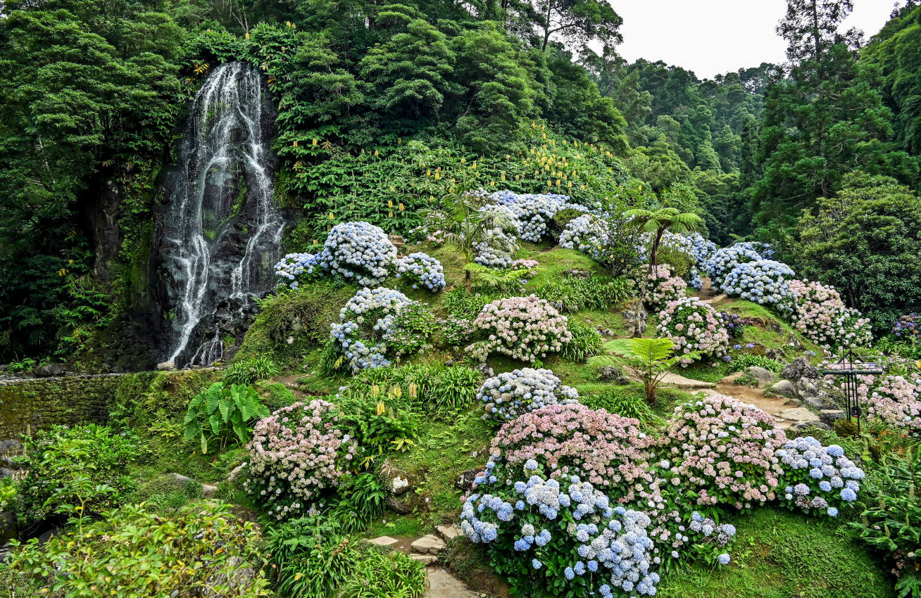 Ашада, изображение ландшафта.