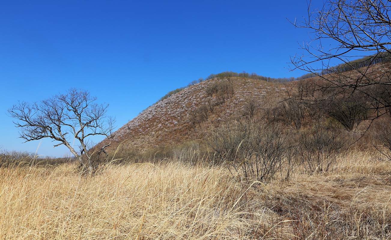 Пограничный, image of landscape/habitat.
