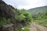 Image of landscape