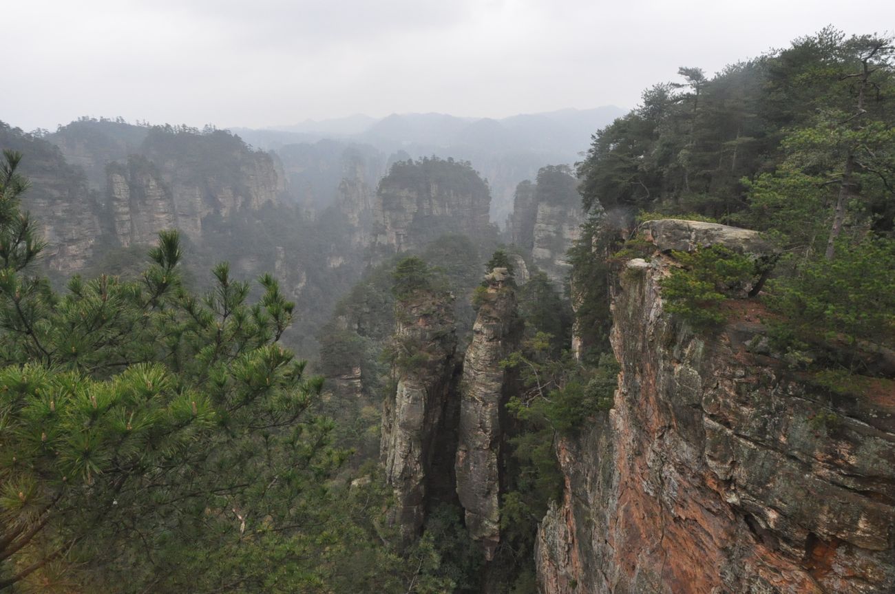 Национальный парк "Чжанцзяцзе", image of landscape/habitat.