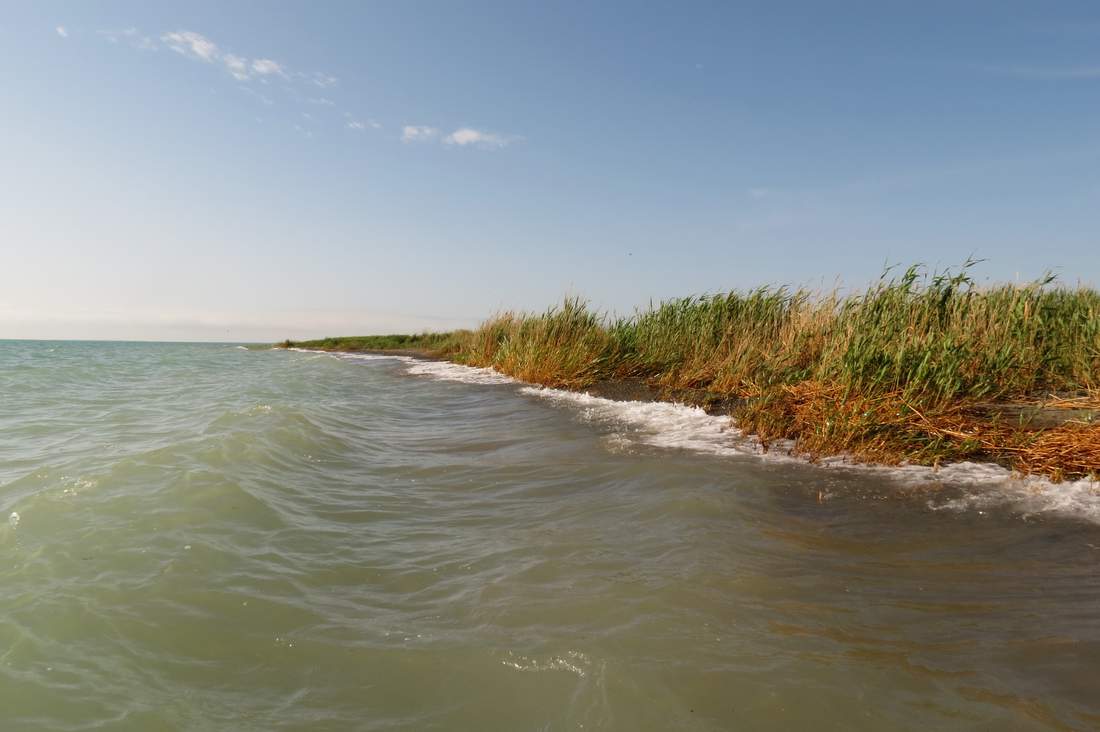 Северо-восточный берег Балхаша, image of landscape/habitat.