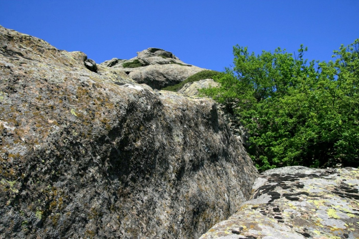 Скальный останец Зуб, image of landscape/habitat.