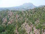 Image of landscape
