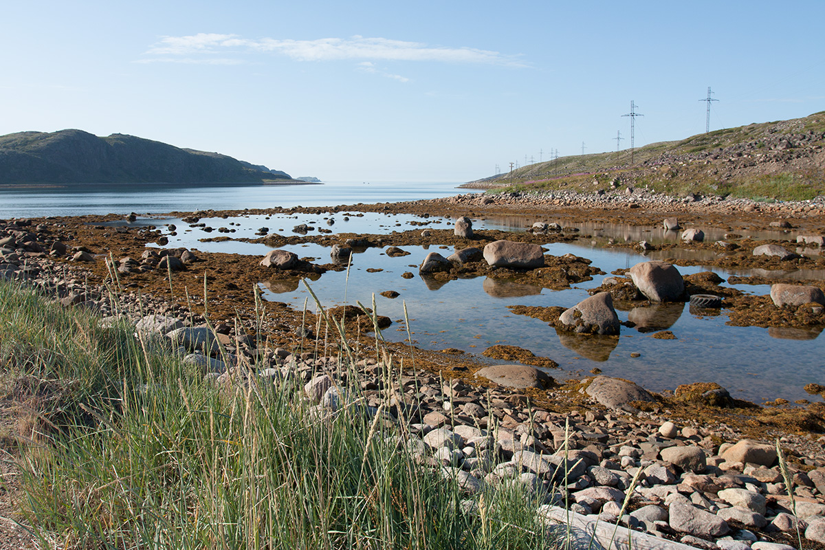 Дальние Зеленцы, image of landscape/habitat.