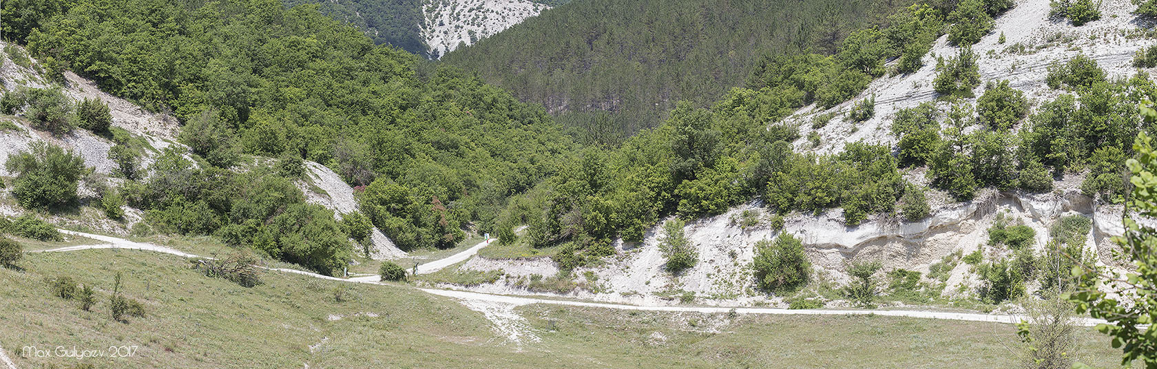 Новоульяновка, image of landscape/habitat.