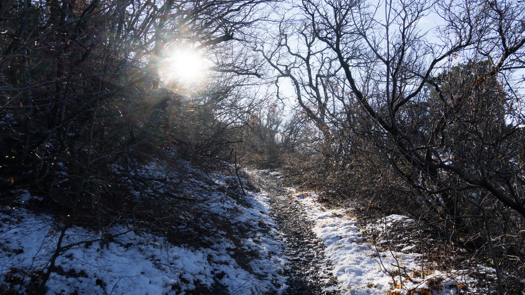 Мыс Большой Утриш, image of landscape/habitat.