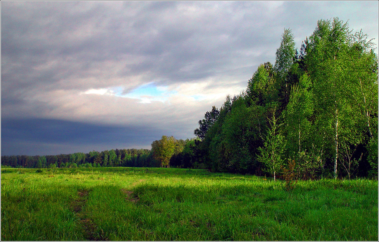 Окрестности Хрипани, image of landscape/habitat.